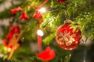 Obraz przedstawia fragment zielonej choinki. Na pierwszym planie zawieszona czerwona bombka ze złotymi zdobieniami.